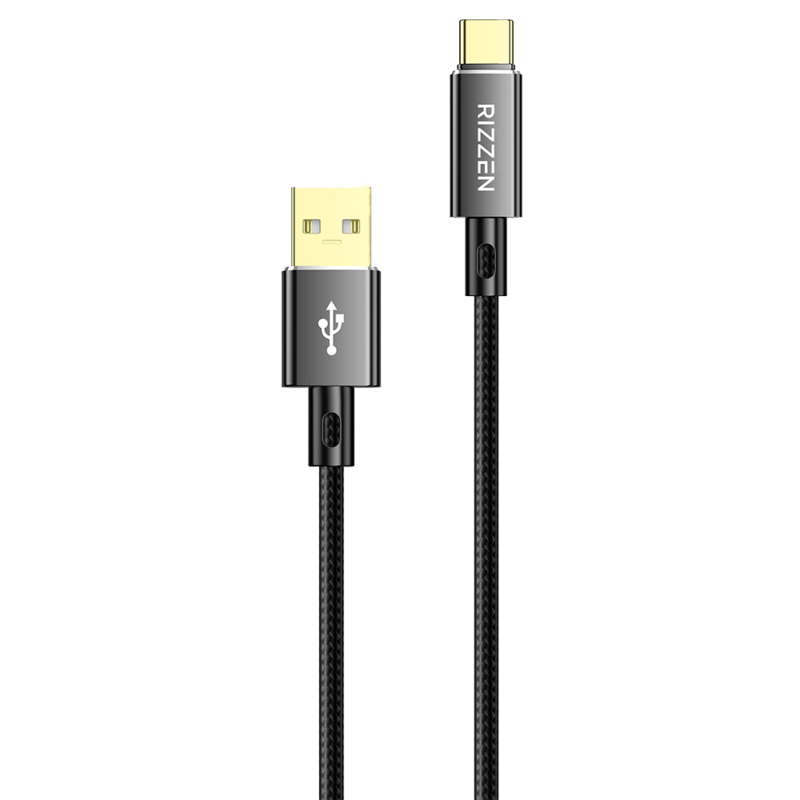 Rizzen 100W Type C Charger